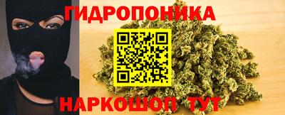 дживик Лесосибирск