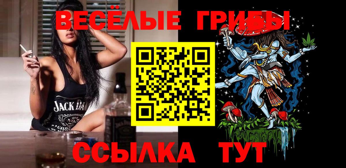Галлюциногенные грибы прущие грибы  Галлюциногенные грибы Psilocybe  Вход с VPN  как найти   Солнечногорск 